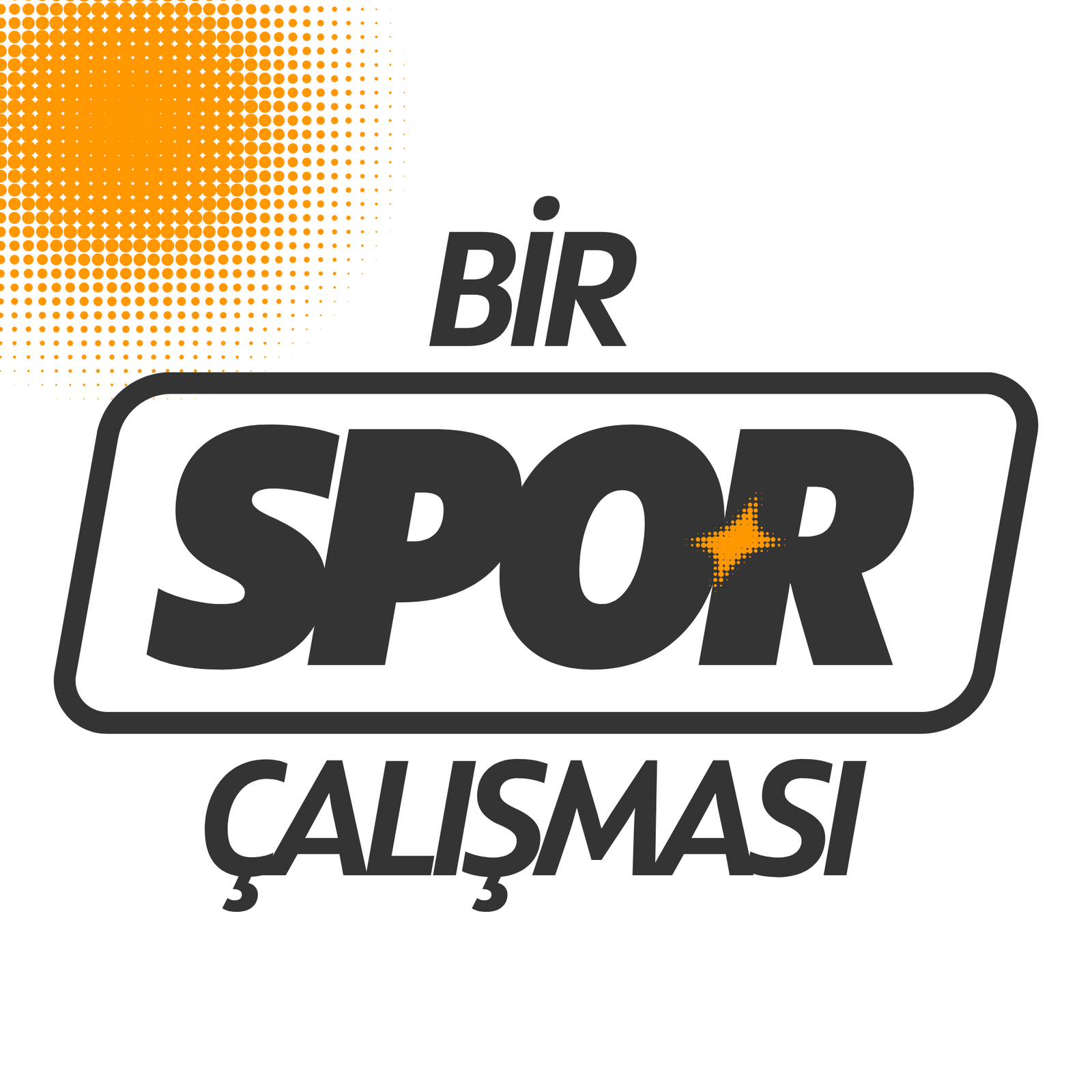 Bir Spor Çalışması logosu
